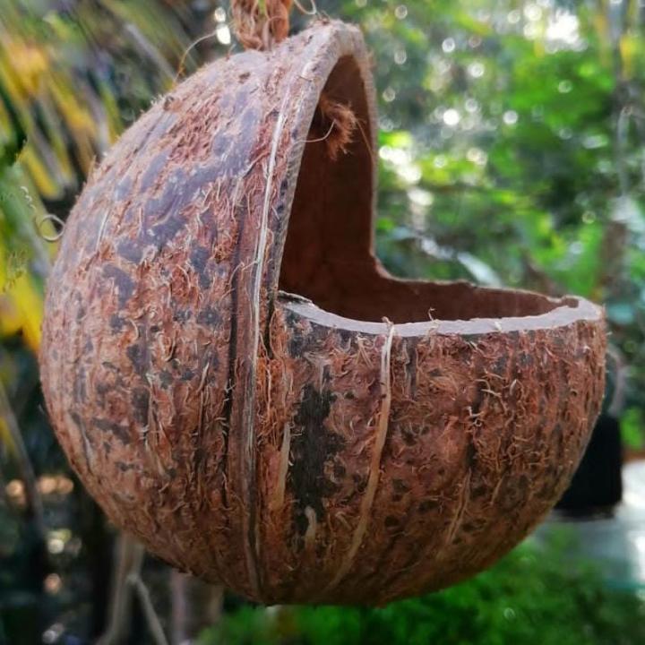 item1